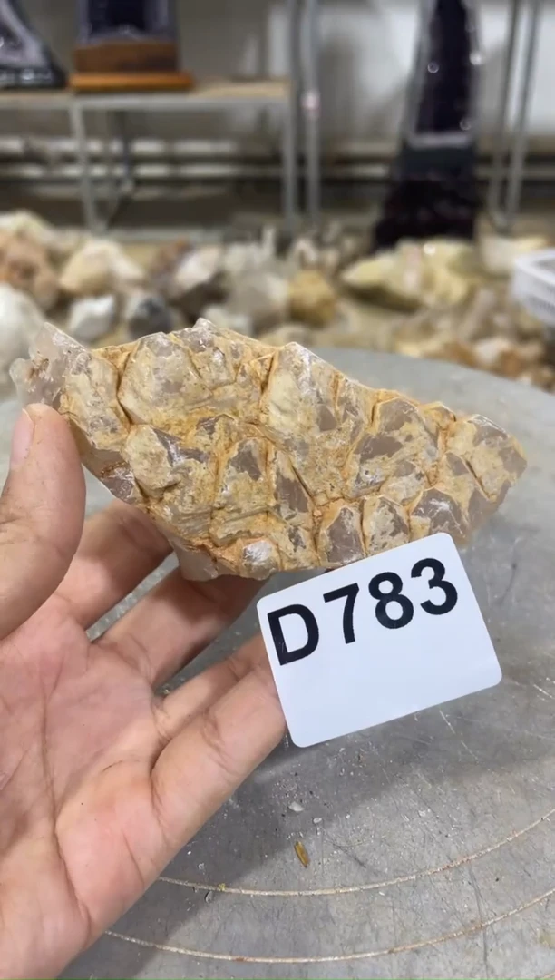 【闪购商品】水晶骸骨未镶嵌骸骨G5