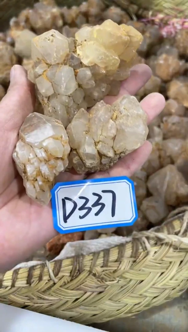【闪购商品】水晶骸骨未镶嵌骸骨G10