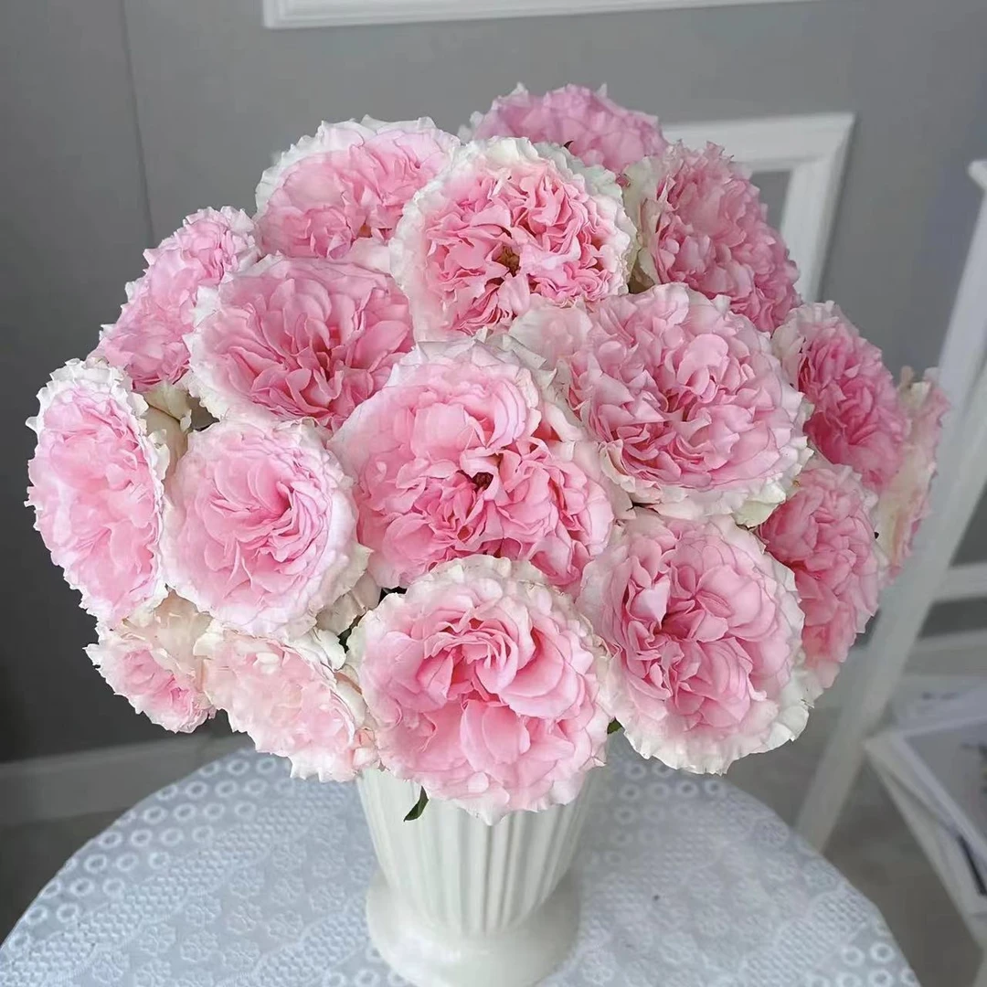 15【云南鲜花】一箱发顺丰冷链或者京东空运，认准编号下单