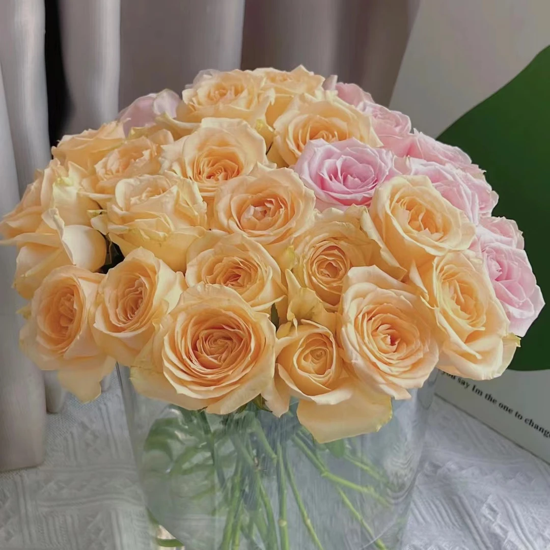 41【云南鲜花】一箱发顺丰冷链或者京东空运，认准编号下单