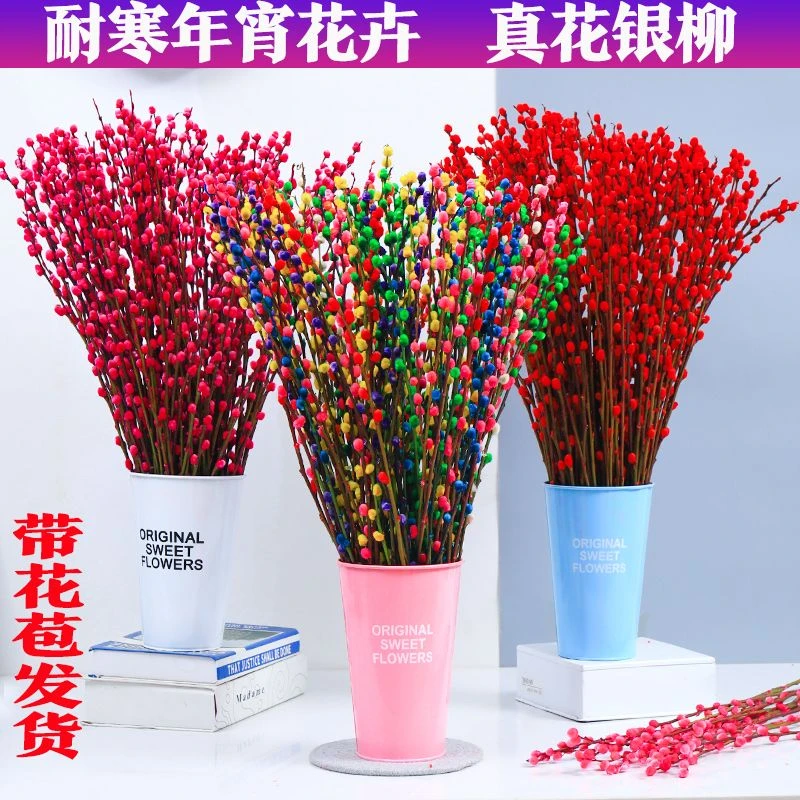 招财银柳干花真花鲜枝水培植物红色银柳年宵花卉福桶客厅室内装饰