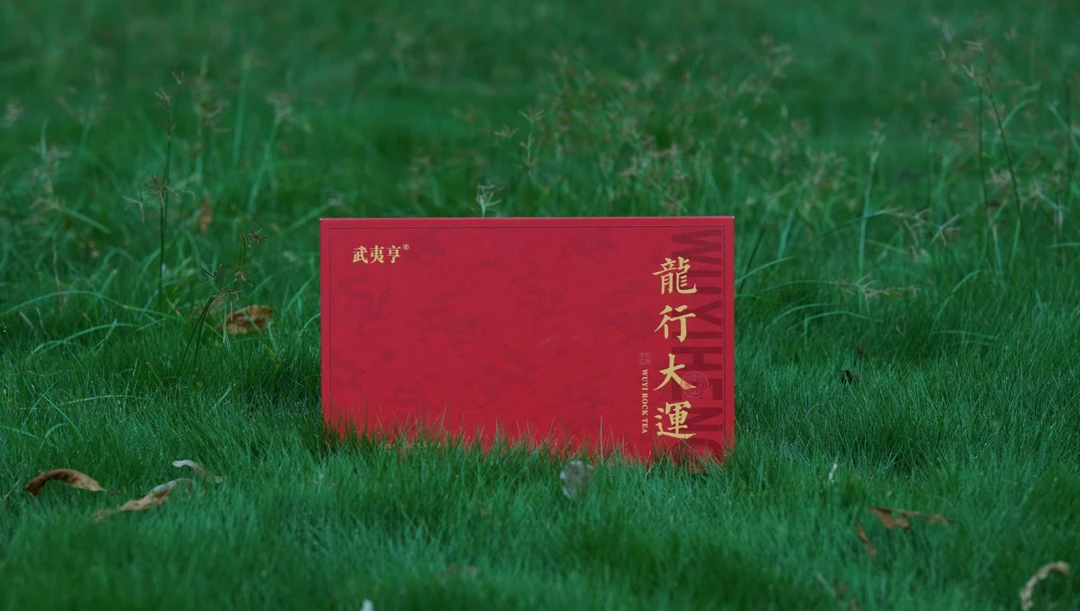 武夷岩茶-龙行大运（九龙窠大红袍）8.3g*30泡