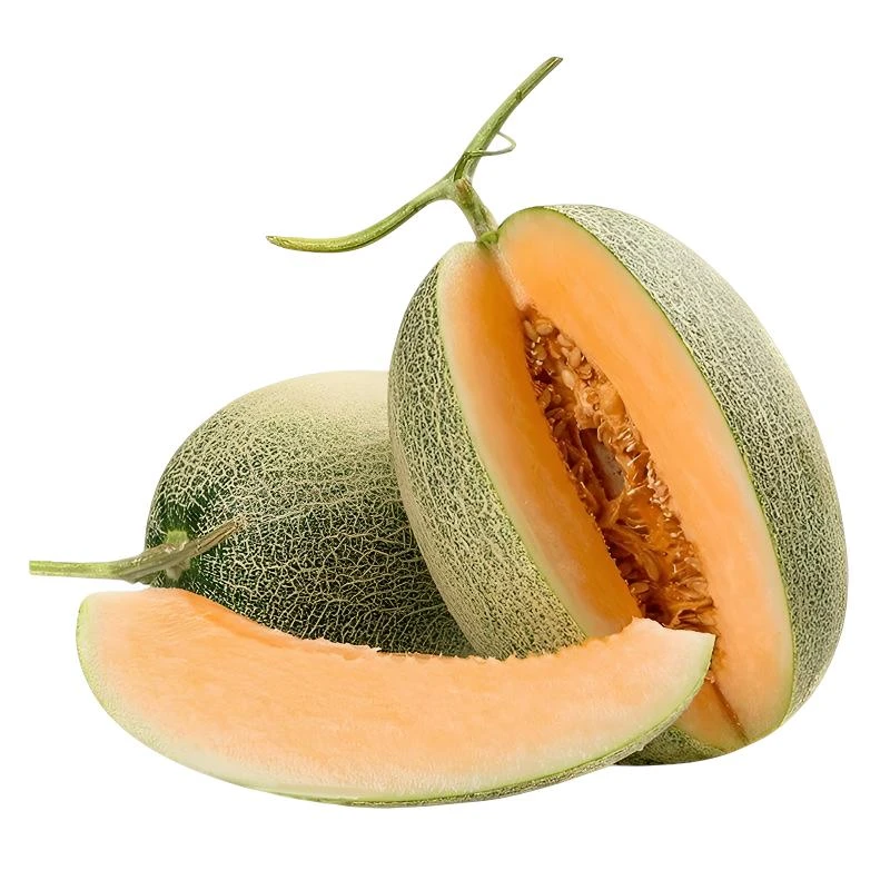 正宗哈密瓜新鲜水果应当季香瓜蜜瓜黄肉脆瓜果园产地直发嘎嘎脆瓜
