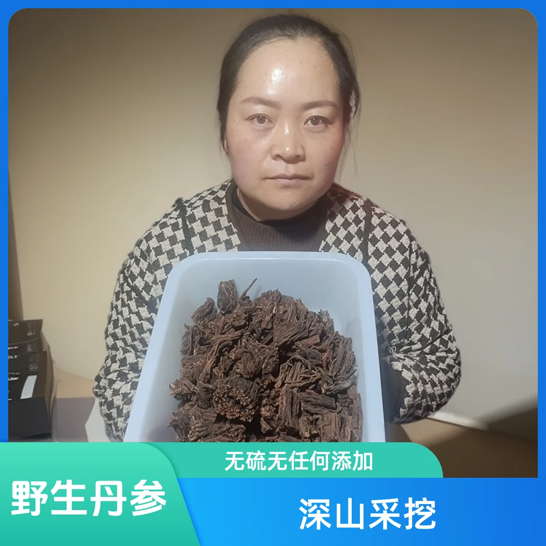 【野生丹参】精品 大山深处采挖 无硫无任何添加 岷县产区直发