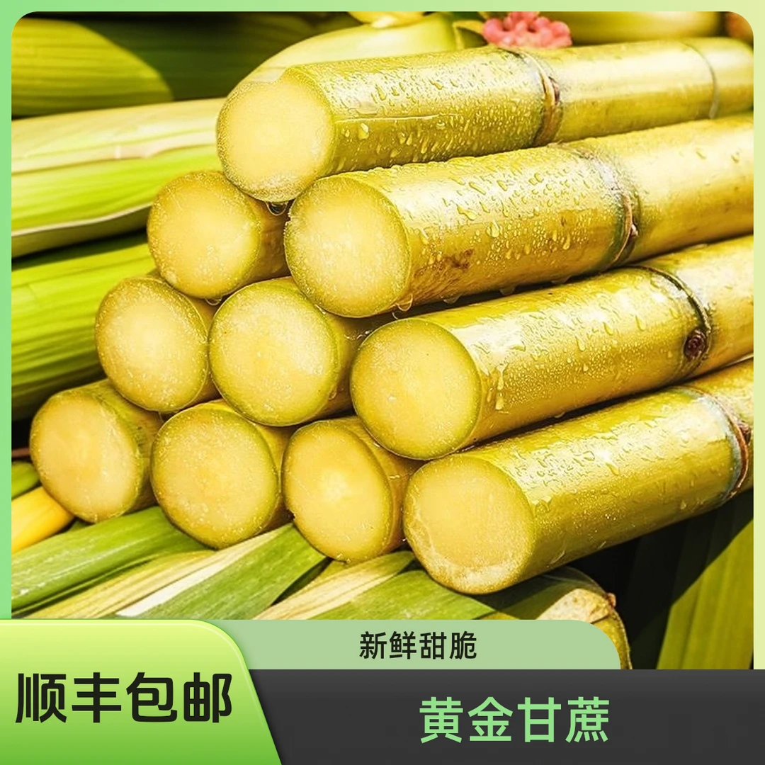 [顺丰包邮]广西黄金甘蔗皮薄多汁清甜爽口产地直发