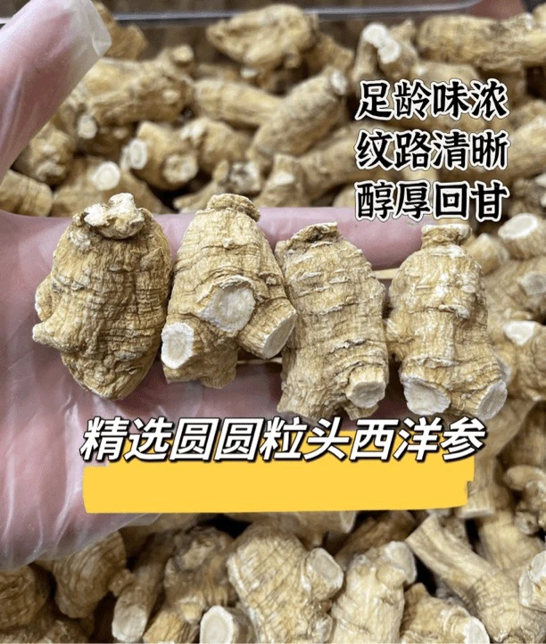 加拿大西洋参10克圆粒软质老参 纹理清晰 颜色深沉高质款可切片