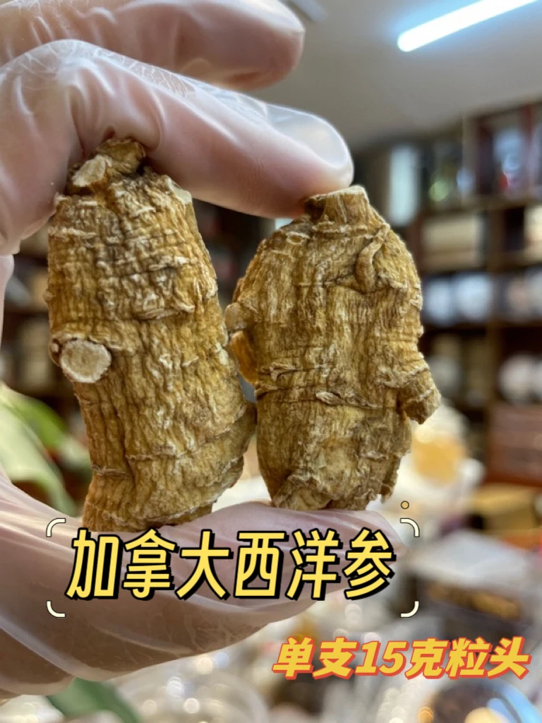 加拿大西洋参15克老参头 原装 足龄花旗参 软质可切片泡水食用