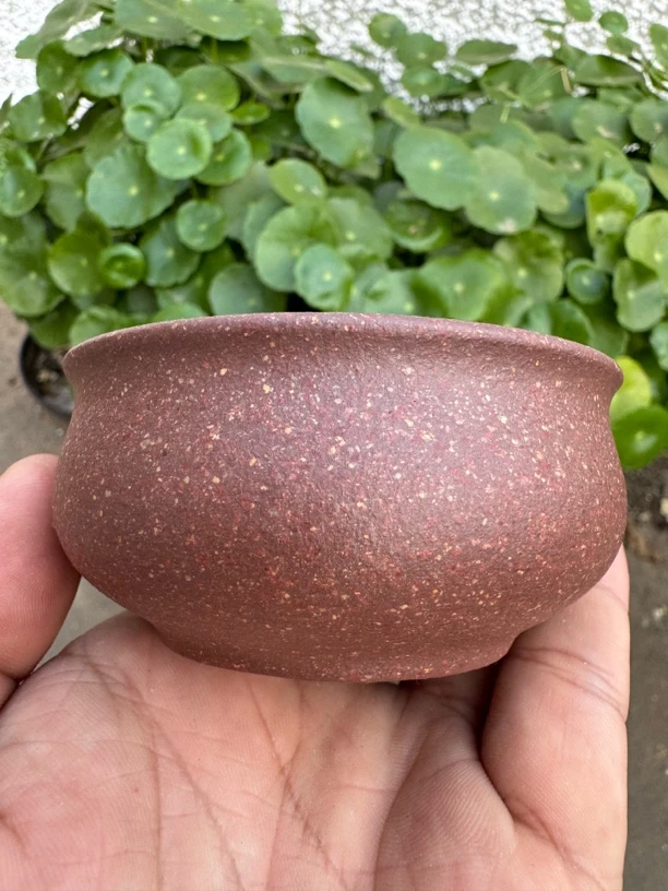 黄龙山原矿紫砂桃花泥普洱杯宜兴手工茶具茶杯100cc主人杯