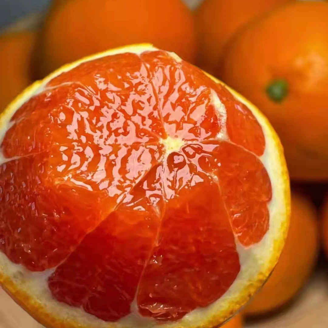 新鲜水果重庆垫江红心血橙细腻采摘脆嫩酸甜快递包邮正宗血橙水果