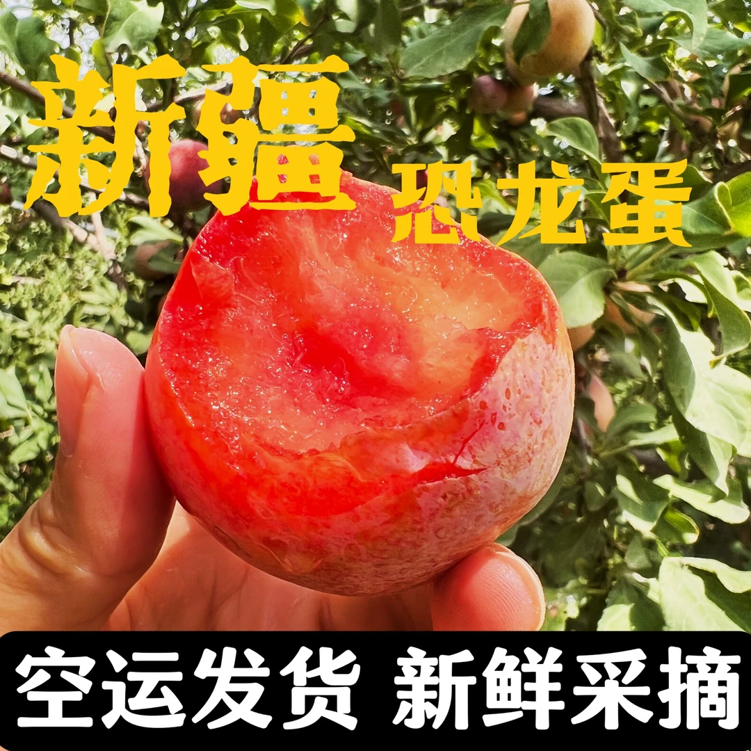 新疆恐龙蛋杏李新鲜采摘8分甜2分酸脆爽爆汁新鲜采摘空运直发