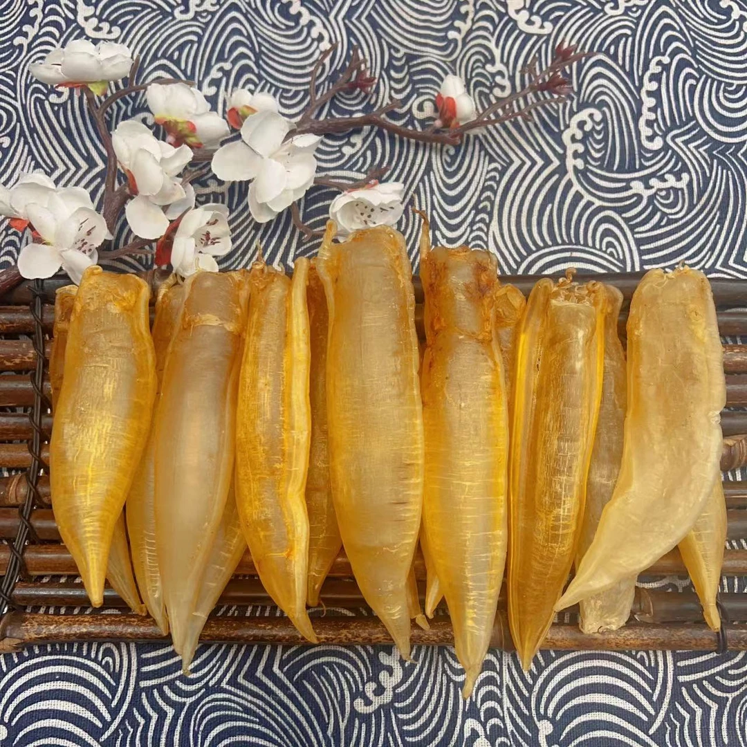 海滋花 【40头胀气金龙筒鱼胶】滋补