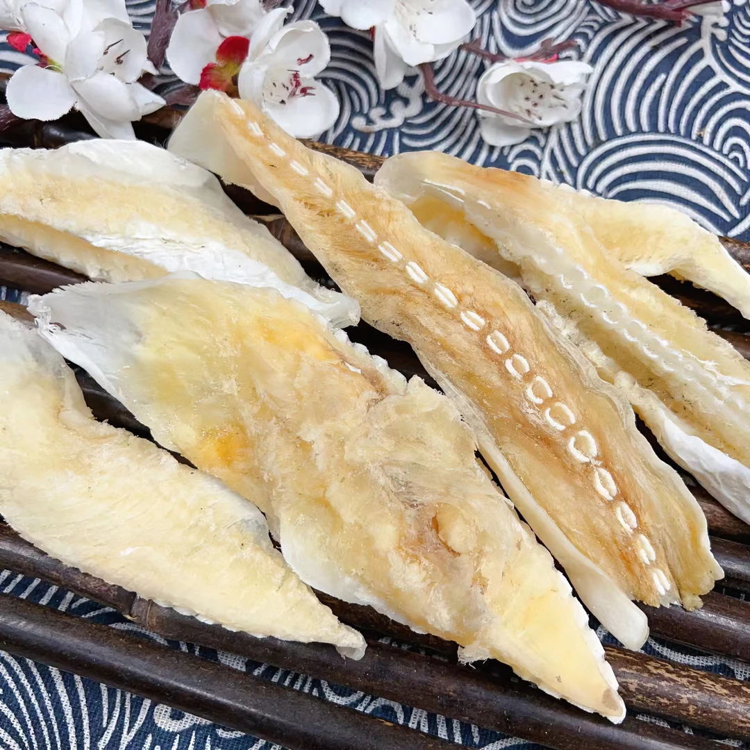 海滋花【肉头/鱼胶】