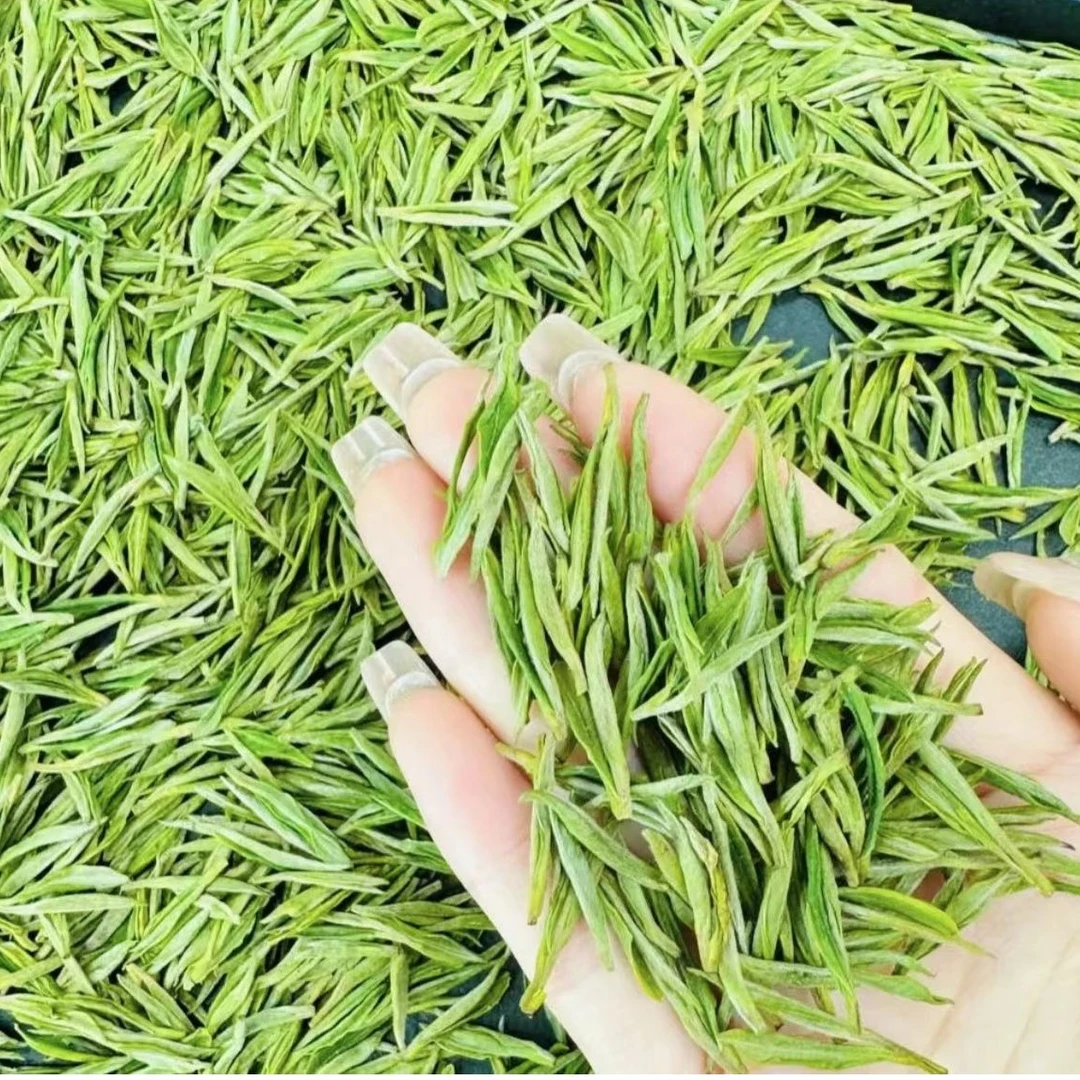 新茶明前白茶绿茶 鲜香浓郁兰花香250g/500g