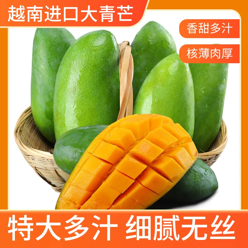 [低温地区专用](防冻箱发货) 越南大青芒果金煌芒香甜饱满多汁