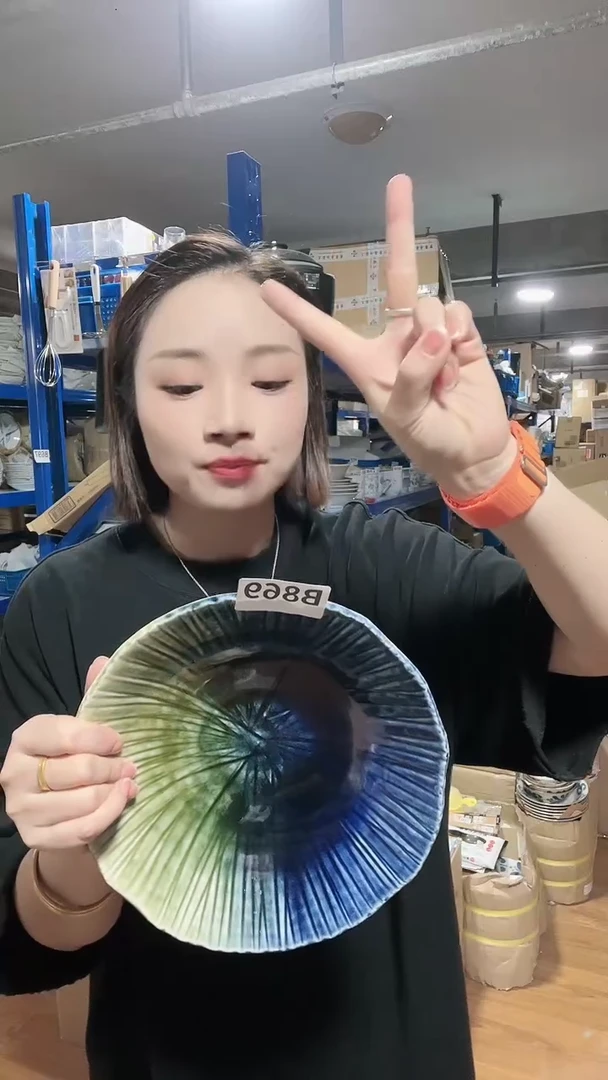 【闪购商品】瓷片全新瓷器织布烧23.5CM深钵B869