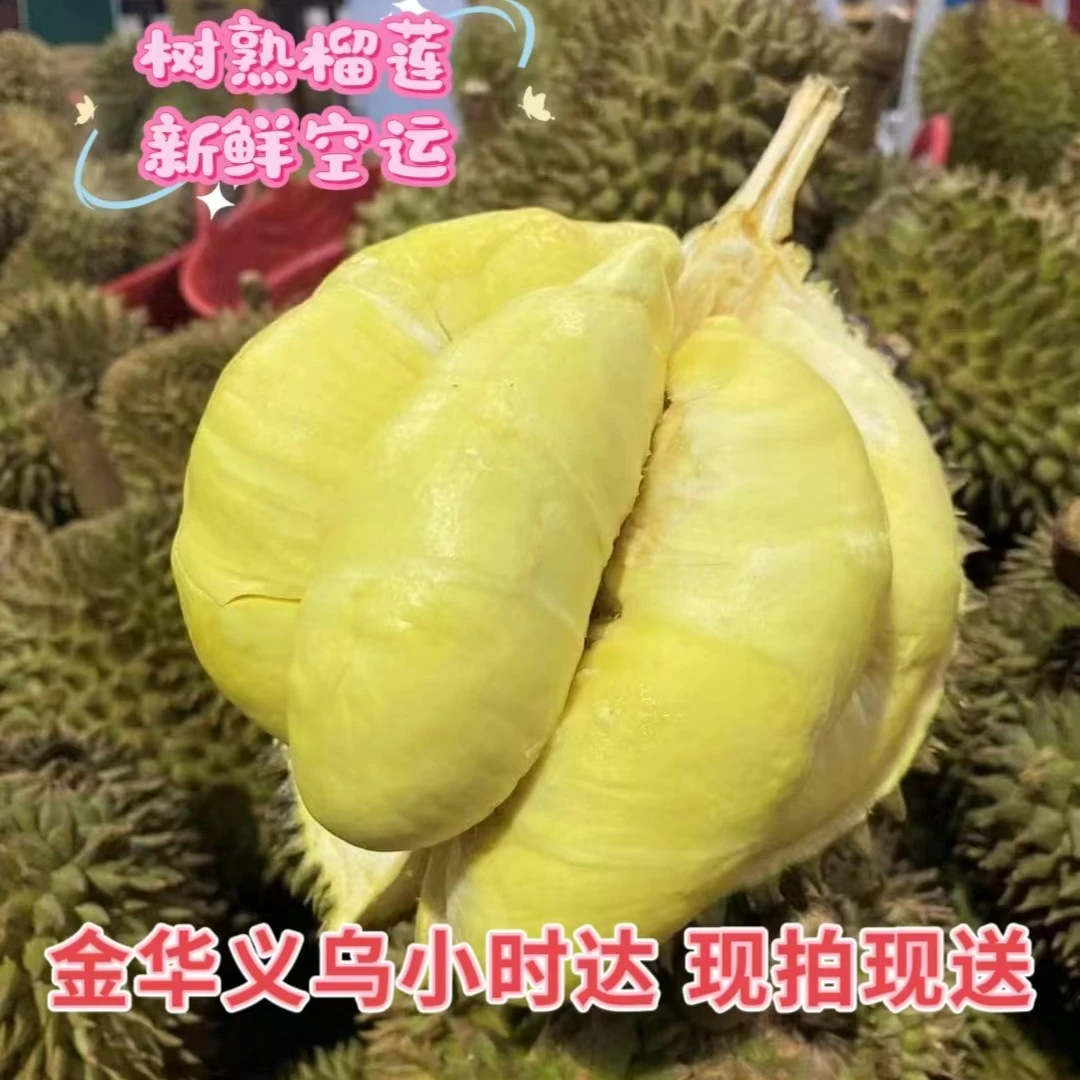 【一斤半纯肉肉】【金华 义乌同城配送】泰国树熟榴莲
