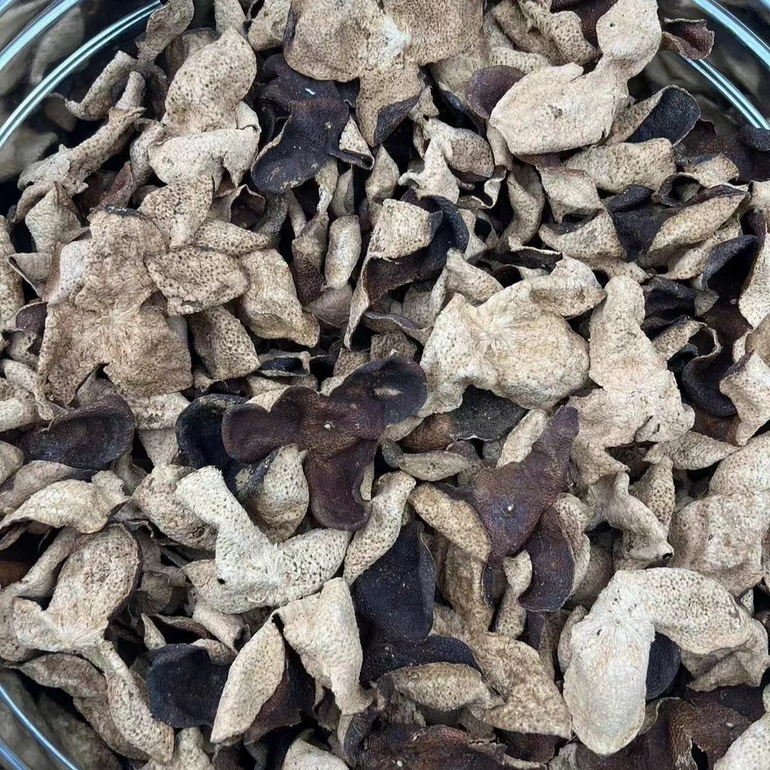 2020年天马茶枝二红皮