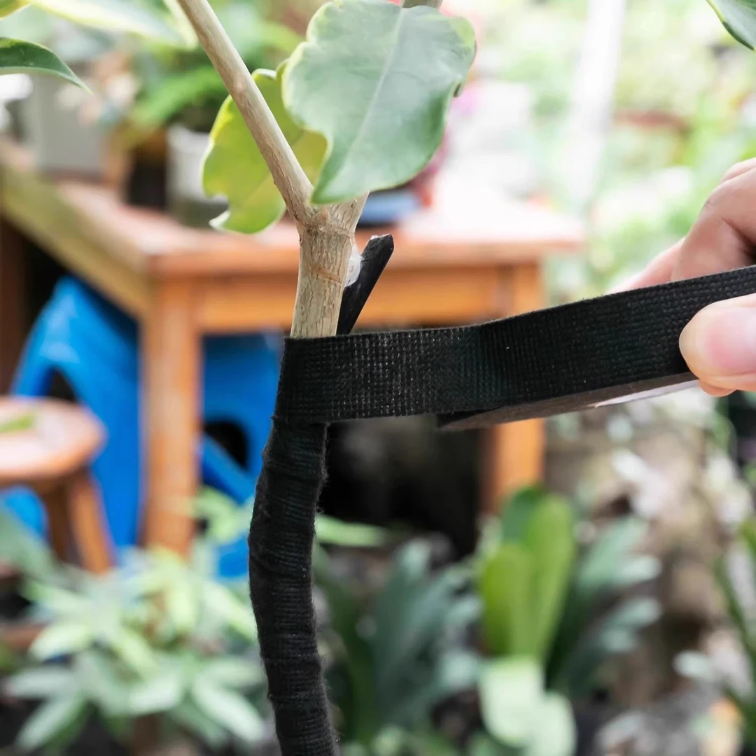 盆景造型黑布盆栽发财树造型专用绒布带花卉园艺保湿愈合包枝胶带