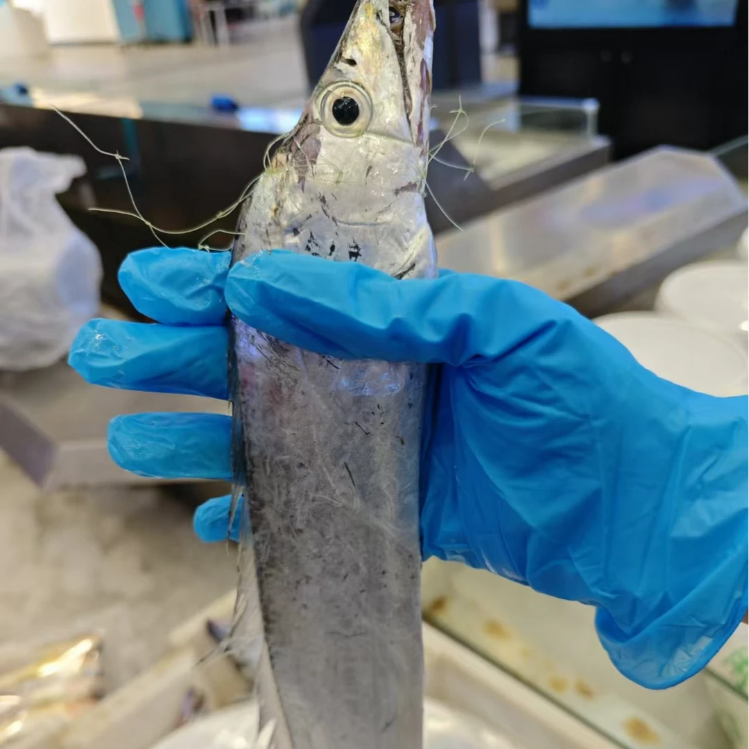 黄沙港野生海捕小眼睛油带鱼6-8两/条共五斤破肚花鳞带鱼