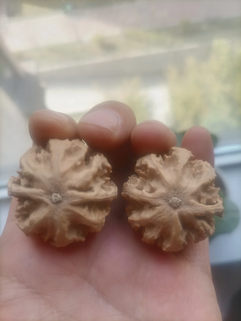 秦岭野生文玩核桃霸王龙 边37