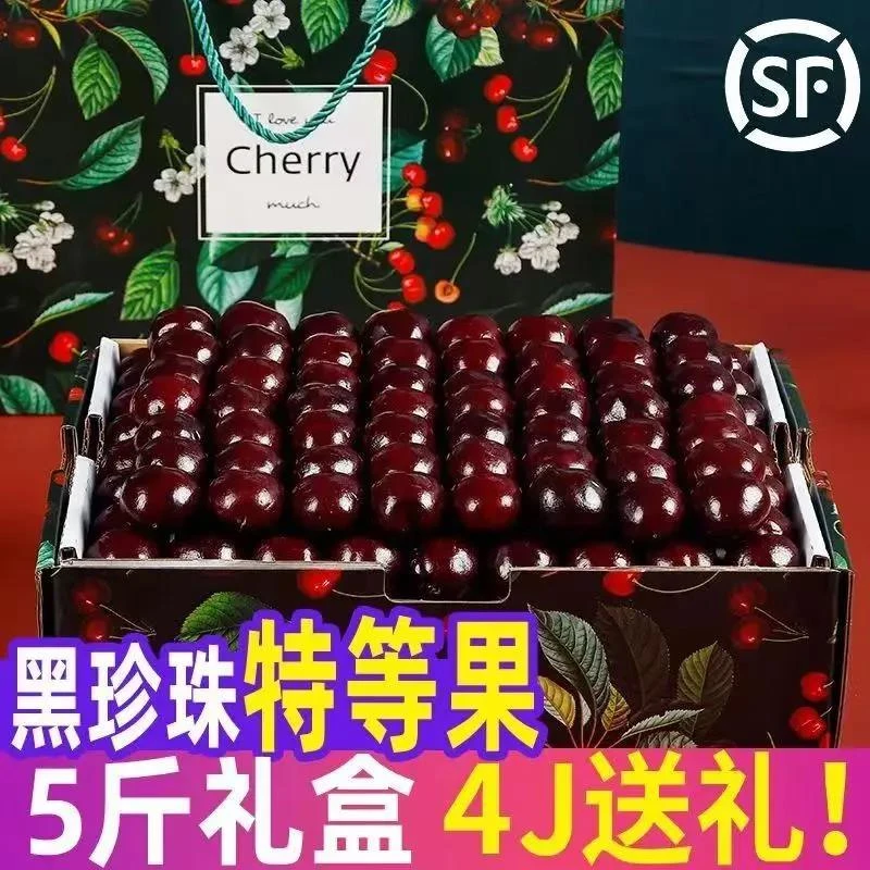 【小扬甄选】智利车厘子5斤装新鲜水果大樱桃顺丰包邮孕妇当季整