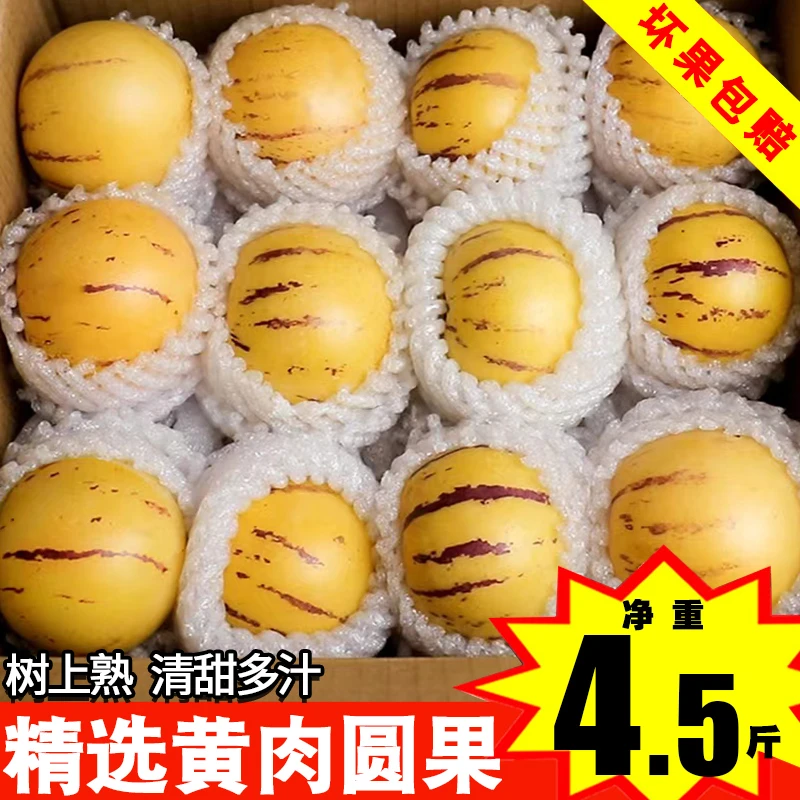【真 · 树上熟】云南石林人参果树上熟黄肉圆果清甜多汁净重4.5斤