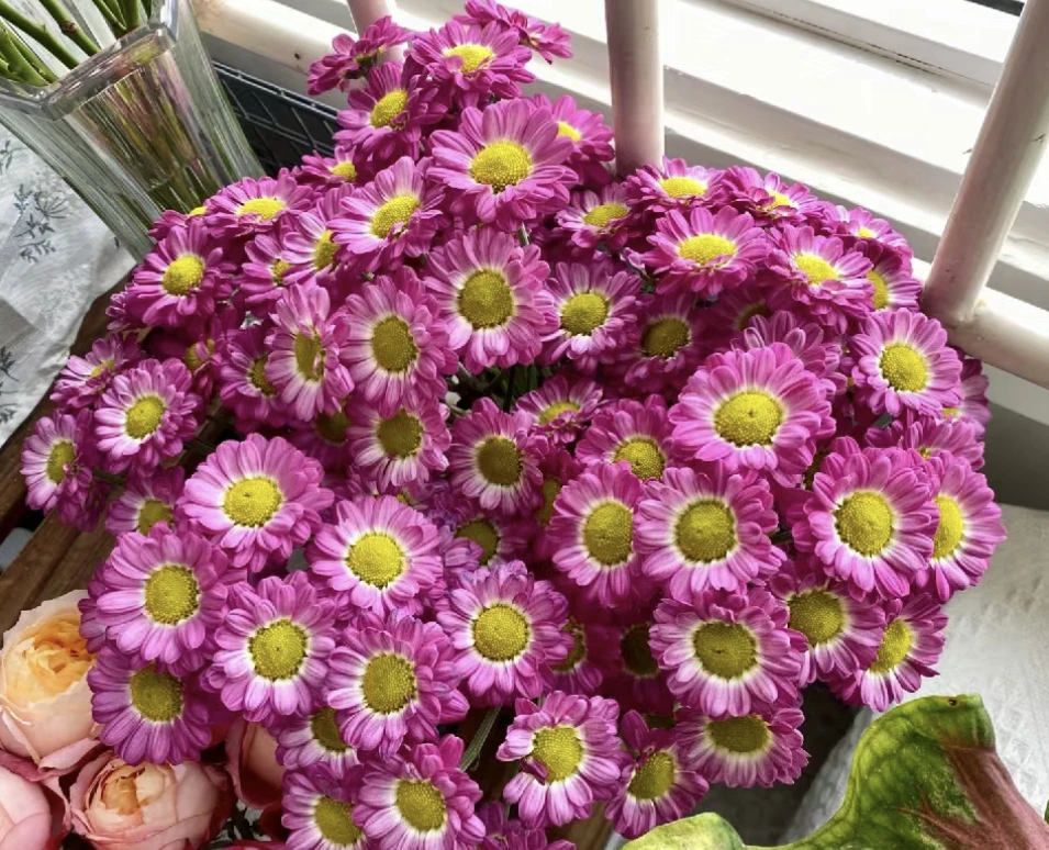 【云舍花卉】娜娜小菊1扎任意2单或以上包邮鲜花