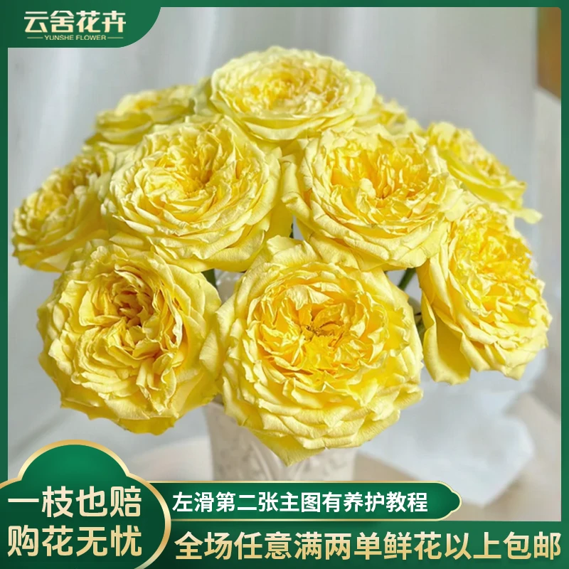 【云舍花卉】【奇迹女神】单头玫瑰全场任意满两单及以上鲜花包邮