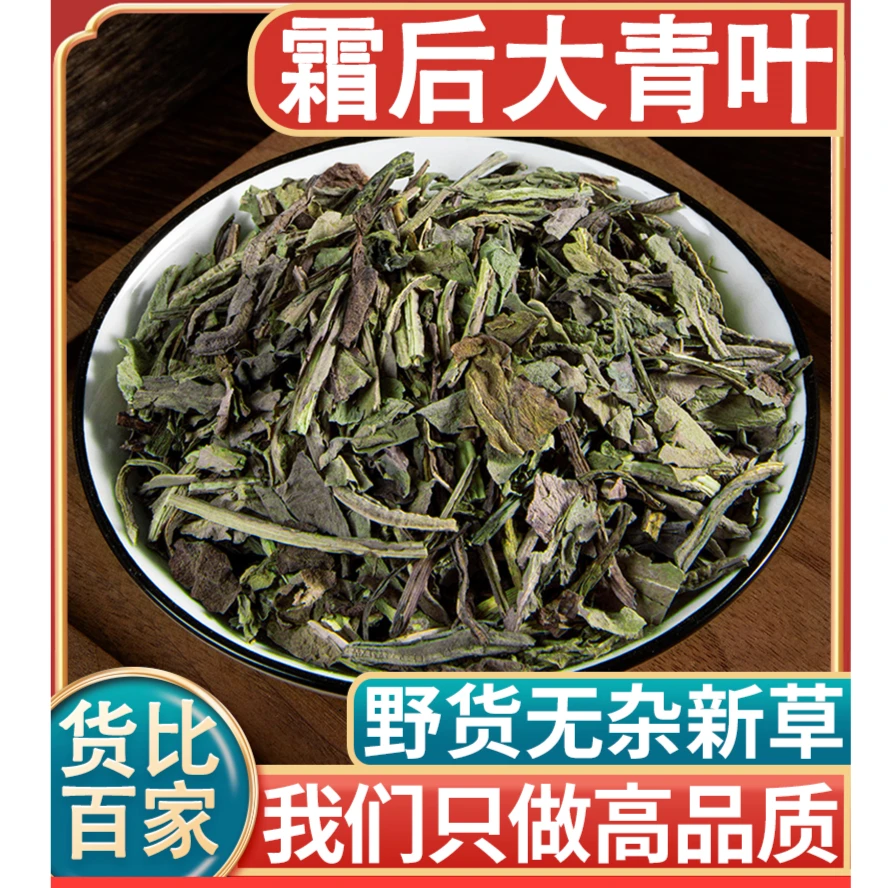中药材草药大青叶材克霜后新货山青叶茶大蓝菜板蓝根叶