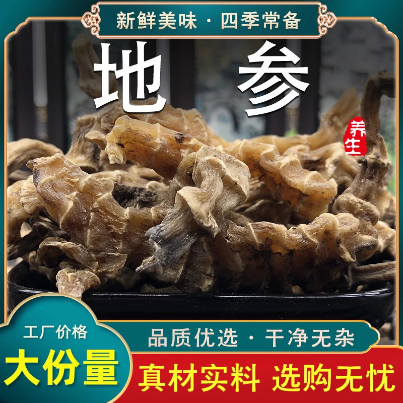 中药材地参云南虫草参地参干地参虫草新鲜地笋地蚕子干货大条