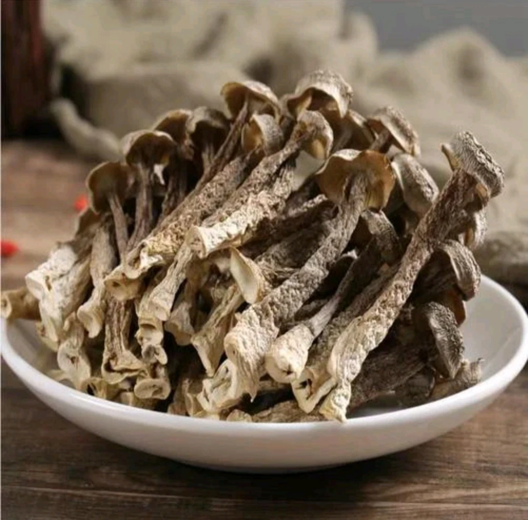 贵州高山林下种植鹿茸茹（干货)半斤起包邮