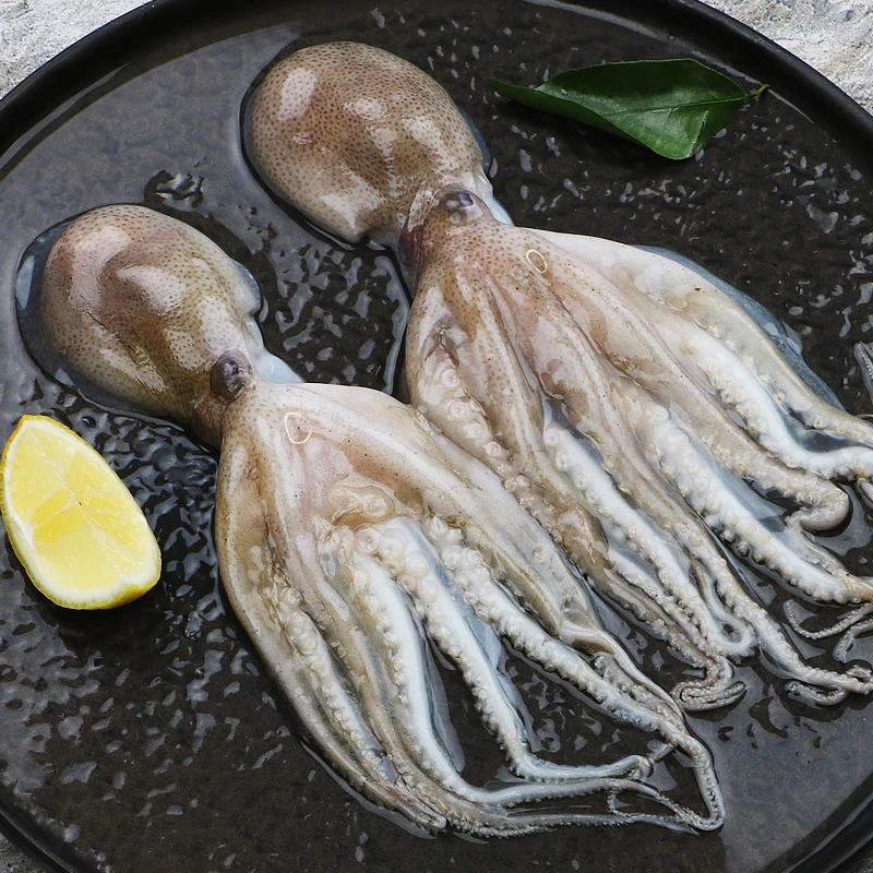 鲜活速冻短腿八爪鱼500g*3包 冷链直发