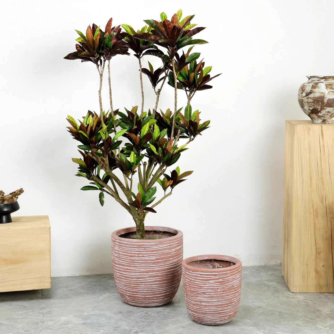 大口径镁泥花盆轻奢高级感落地龟背竹鸭脚木盆栽水泥创意户外庭院