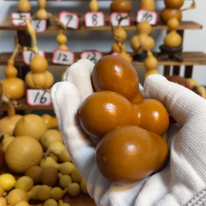 红陶20CM（含）-50CM（不含）小***光