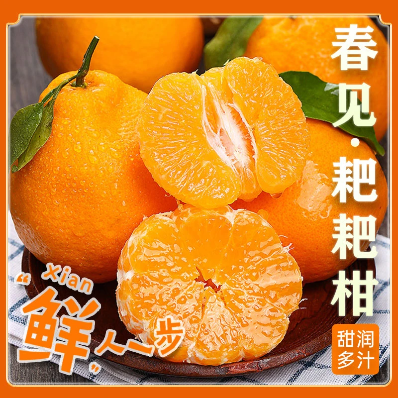 寒冷地区保温袋】四川春见耙耙柑新鲜水果新鲜采摘香甜爆汁4.5-8斤