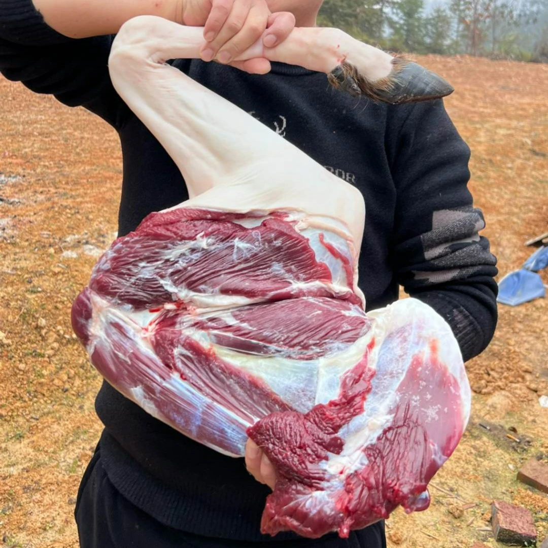 鲜鹿肉（整条腿杆）散养殖梅花鹿顺丰冷链*现杀现发*鹿场直发