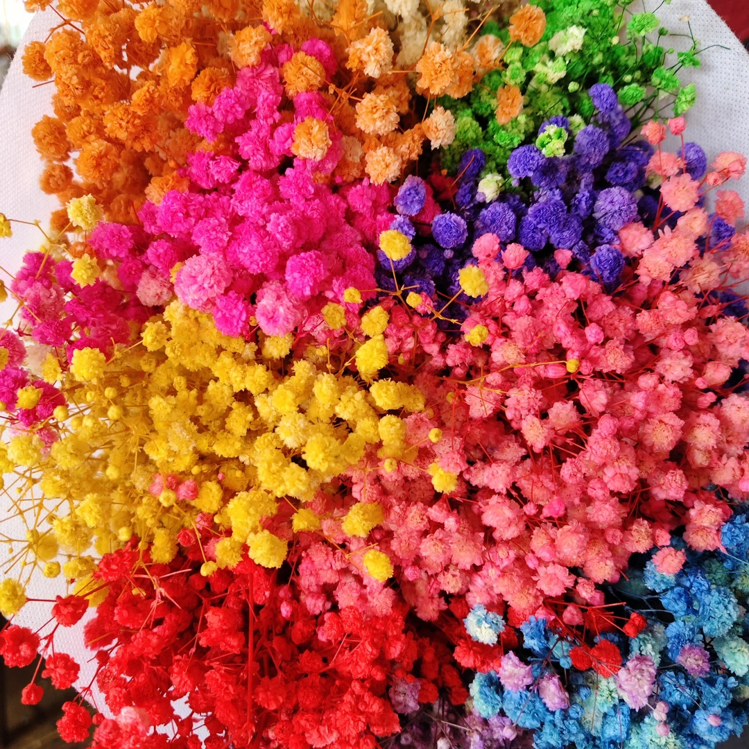 【新疆西藏专线批发包邮】精品永生满天星工厂产地直销