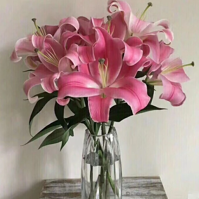 一首花卉（罗宾）百合云南基地发货