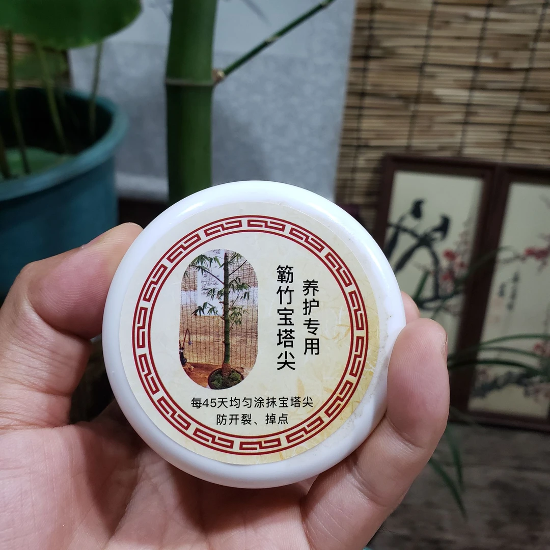 簕竹宝塔尖养护专用