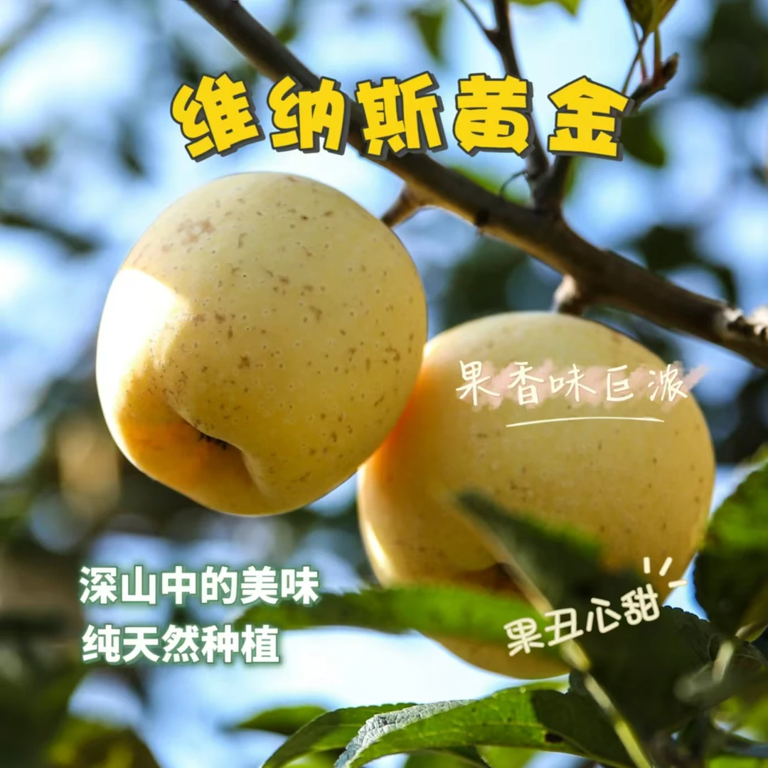 无品牌烟台黄金维纳斯雀斑丑苹果香甜不打糖不打蜡产地发5斤包邮