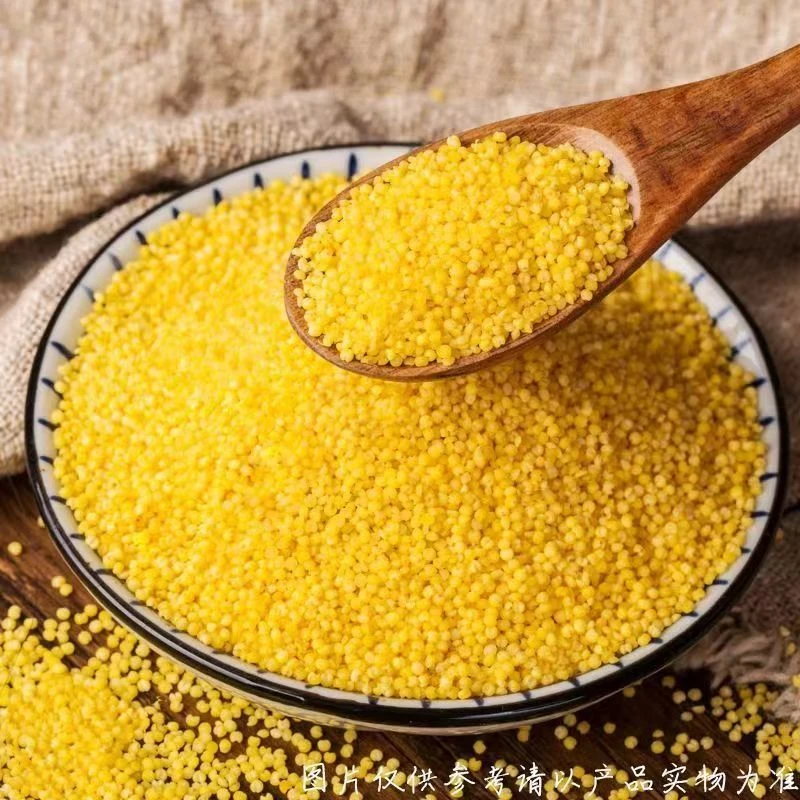 Rx黄小米5斤新小米煮粥煮饭
