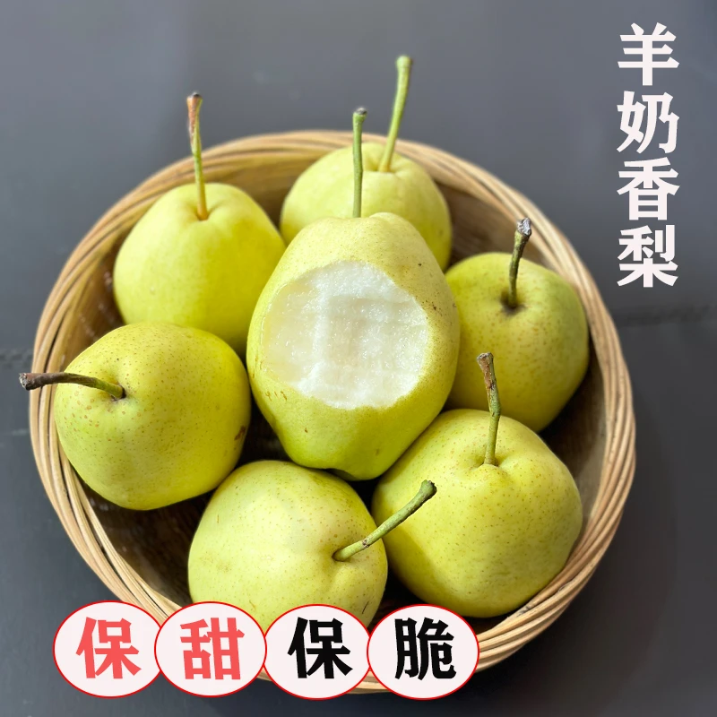 【羊奶香梨】山西运城正宗羊奶香梨脆甜多汁-细腻无渣-纯甜连皮吃