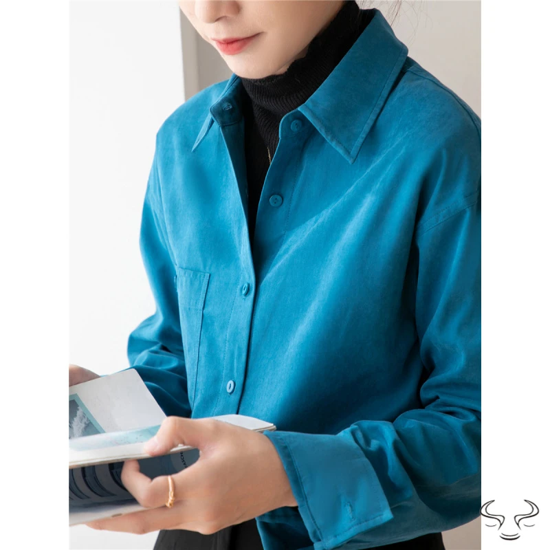 秋柔丝绒衬衫女春秋氛围感通勤内搭叠穿磨毛衬衣女