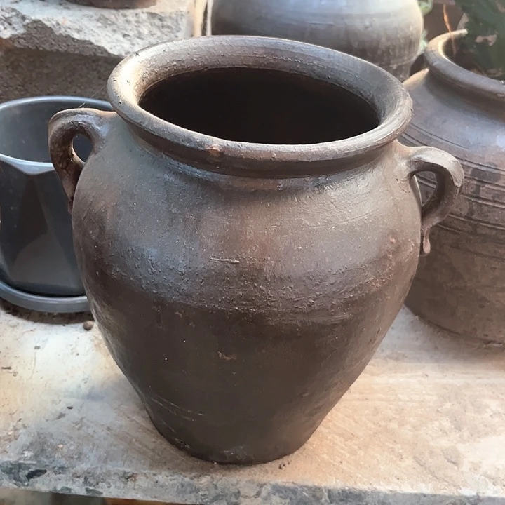 红陶231号22×13咖瑕