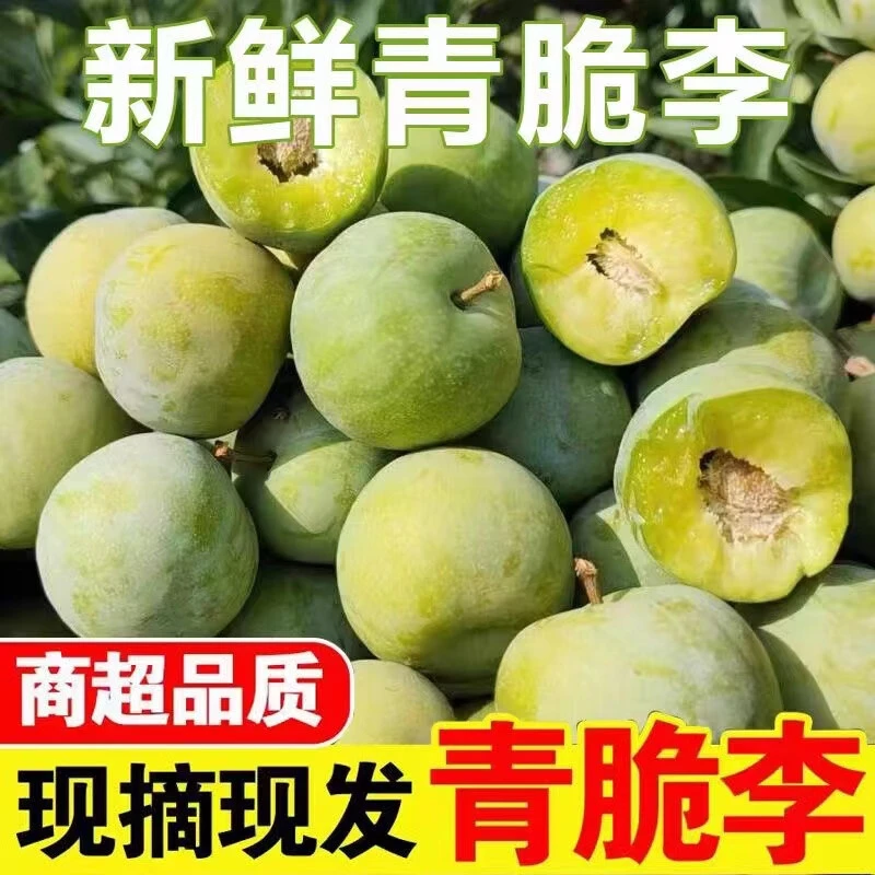 青脆脱骨李空心李酸甜可口冰糖李脆新鲜现摘孕妇水果水果礼品