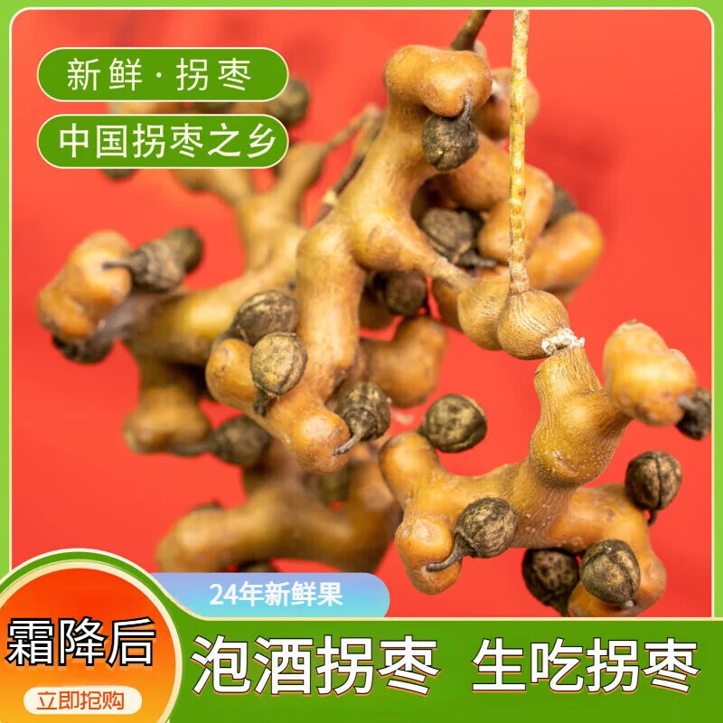 【新鲜拐枣】生吃拐枣新鲜秦岭野生万寿果拐枣可泡酒泡茶煮茶养生