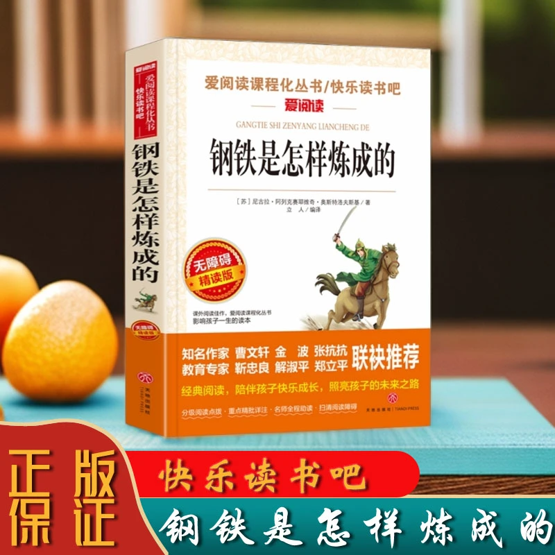钢铁是怎样炼成的快乐读书吧爱阅读课程化丛书青少版八年级必读