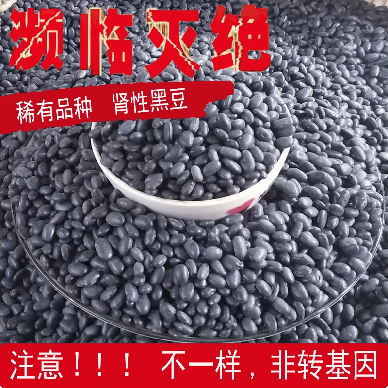 非转基因古老品种打豆浆黄心农家黑豆发芽肾形黑豆老黑豆发豆芽