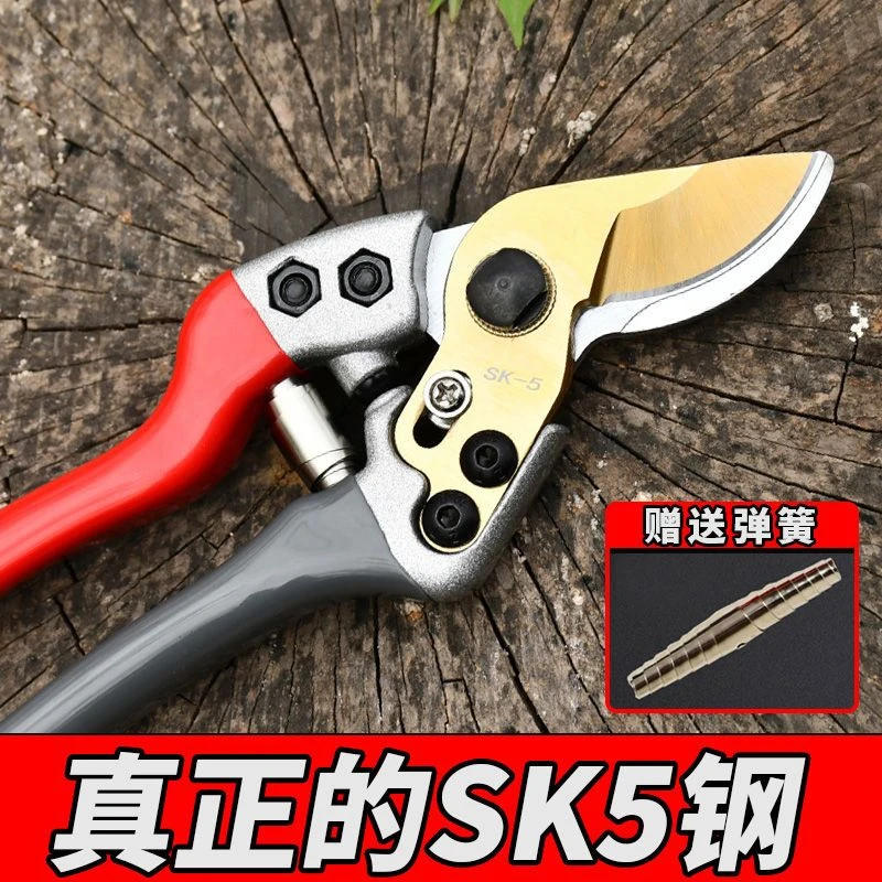 修枝剪，园林剪，舒适耐用锁扣高碳钢铝制