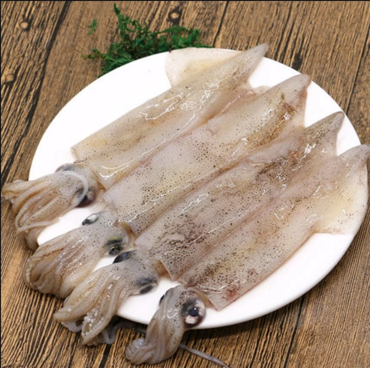 新鲜大鱿鱼（宰杀前约650g）